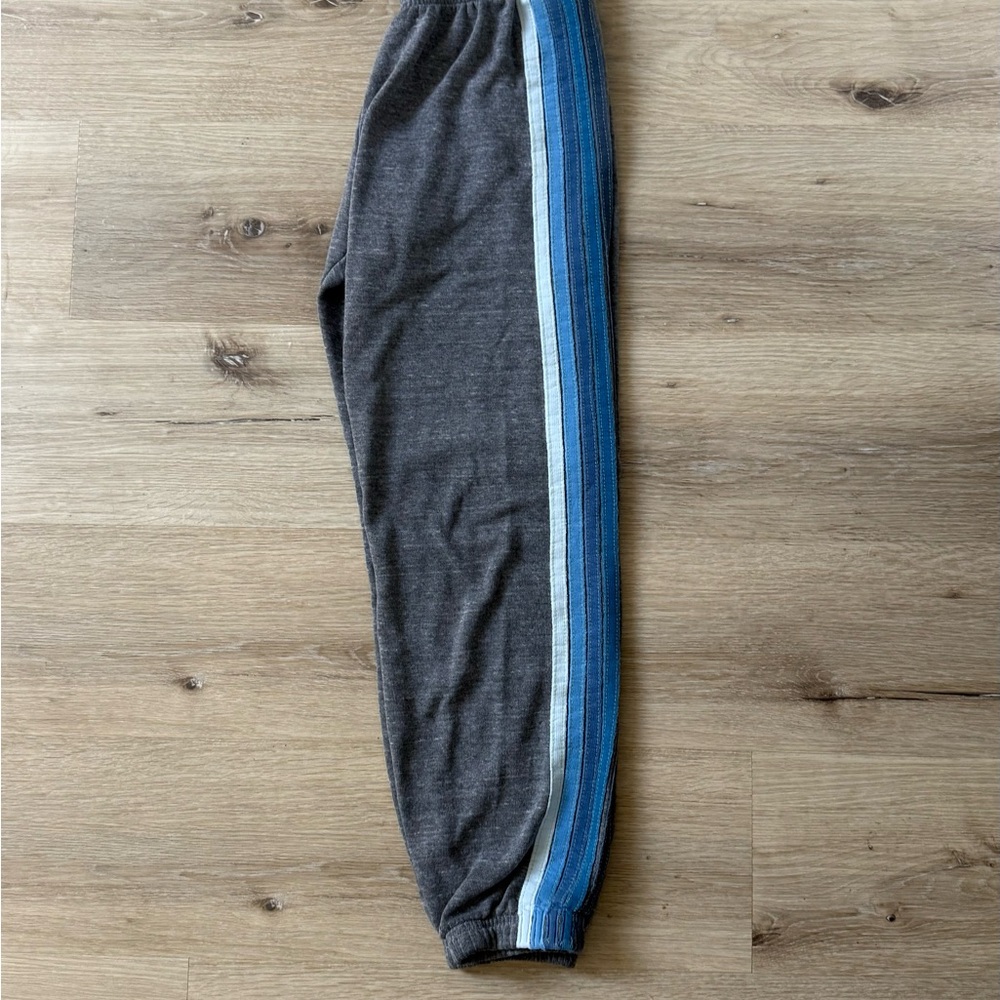 Aviator Nation gray sweatpant joggers